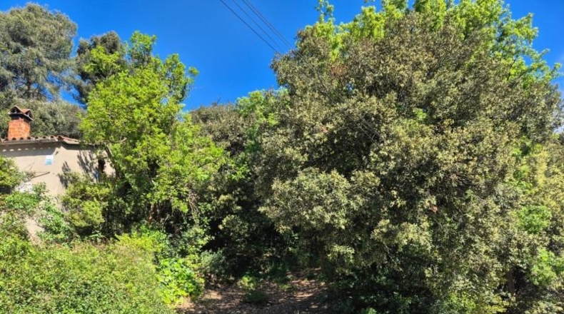 Barcelona - Sant Cugat del Vallès - 378m2
