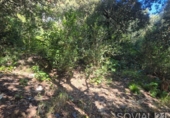 Sòl urbà en venda a la España, Sant Cugat del Vallès, ref.: TR404408 foto