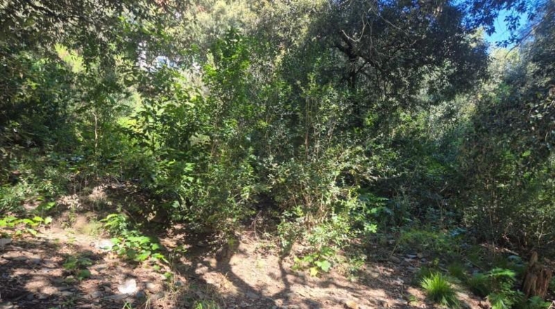 Barcelona - Sant Cugat del Vallès - 378m2