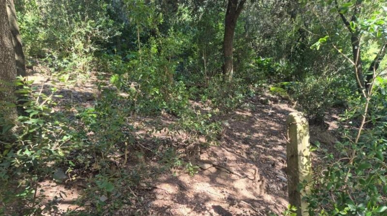 Barcelona - Sant Cugat del Vallès - 378m2