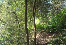 Sant Cugat del Vallès 378&nbsp;m² 