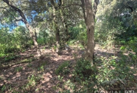 Sant Cugat del Vallès 378&nbsp;m² 