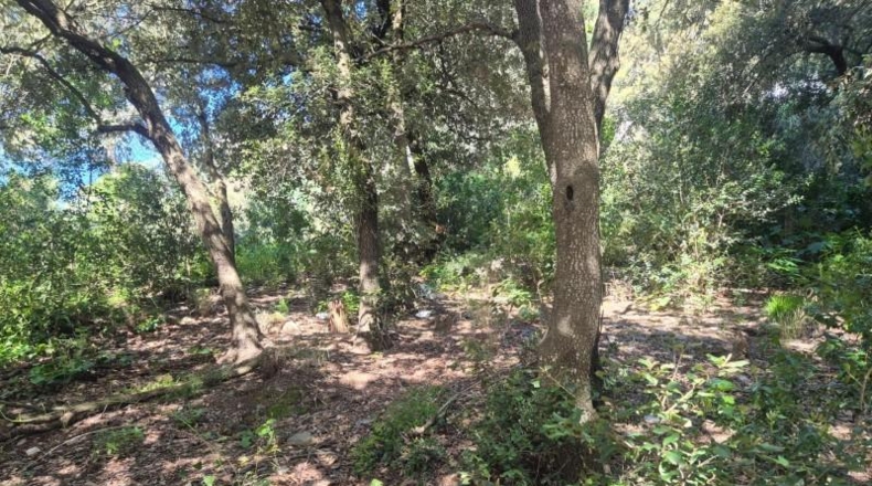 Barcelona - Sant Cugat del Vallès - 378m2