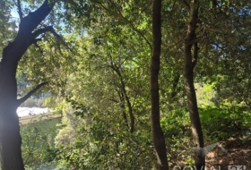 Sant Cugat del Vallès 378&nbsp;m² 