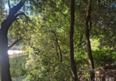 Sòl urbà en venda a la España, Sant Cugat del Vallès, ref.: TR404408 foto