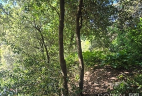 Sant Cugat del Vallès 378&nbsp;m² 