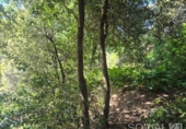 Sòl urbà en venda a la España, Sant Cugat del Vallès, ref.: TR404408 foto