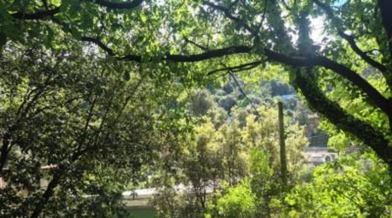 Barcelona - Sant Cugat del Vallès - 378m2