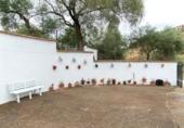Casa de camp amb terreny en venda a la España, Hornachuelos, ref.: TR407539 foto
