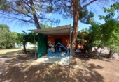 Casa de camp amb terreny en venda a la España, Albacete, ref.: TR248472 foto