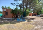 Casa de camp amb terreny en venda a la España, Albacete, ref.: TR248472 foto