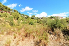 Puigpunyent 2186&nbsp;м²
