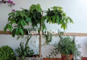Village house for sale on España, Alcalá de Guadaíra, ref: TR402616 photo