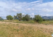 Detached villa with land for sale on España, Roses, ref: TR407607 photo