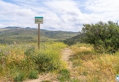 Detached villa with land for sale on España, Roses, ref: TR407607 photo