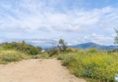 Detached villa with land for sale on España, Roses, ref: TR407607 photo