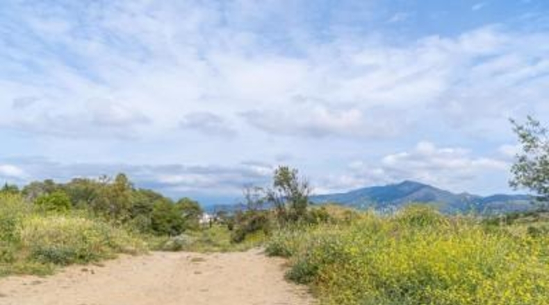 Girona - Roses - 71m2