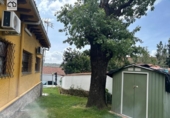 Chalet independiente con terreno en venta en la España, Gavilanes, ref: TR407626 foto