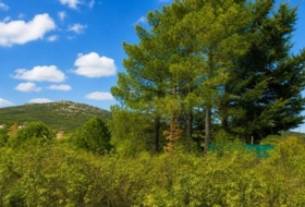Berzosa del Lozoya 2665&nbsp;м²