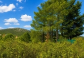 Finca rústica en venta en la España, Berzosa del Lozoya, ref: TR407625 foto