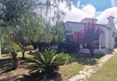 Отдельно стоящий дом с участком на продажу в городе Cambrils Фото