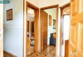 Chalet independiente con terreno en venta en la España, Os Tilos, ref: TR407698 foto
