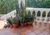 Дом с участком на продажу в городе Gandia Фото