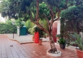 Дом с участком на продажу в городе Gandia Фото