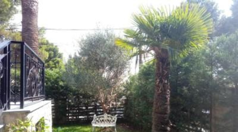Valencia - Torrente - 513m2