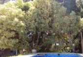Detached villa with land for sale on España, Torrent, ref: TR331036 photo