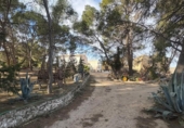 Xalet independent amb terreny en venda a la España, Jumella, ref.: TR382508 foto