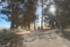 Foto 15