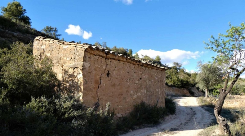 Tarragona - Batea - 42000m2