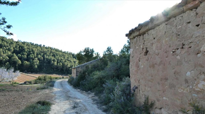 Tarragona - Batea - 42000m2