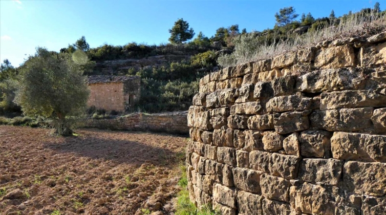 Tarragona - Batea - 42000m2