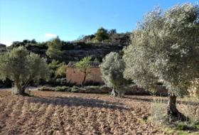 Foto 19