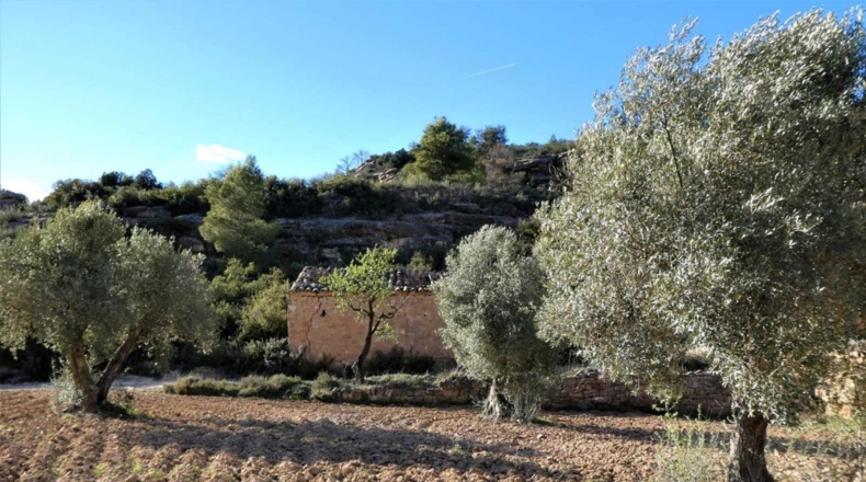 Tarragona - Batea - 42000m2