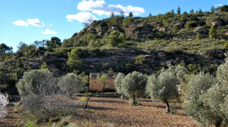 Tarragona - Batea - 42000m2