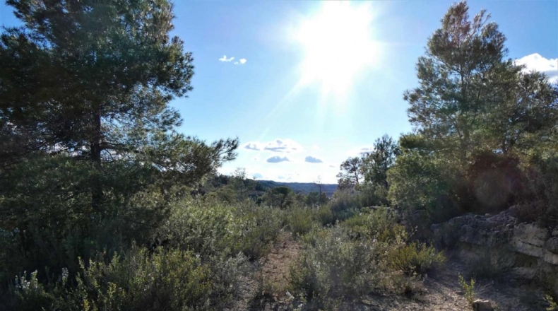 Tarragona - Batea - 42000m2