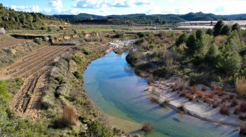 Tarragona - Batea - 42000m2