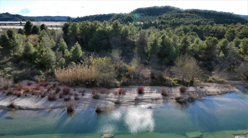 Tarragona - Batea - 42000m2