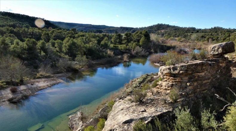 Tarragona - Batea - 42000m2