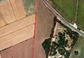 Non-developable land for sale on Camino de la Playa, Vejer de la Frontera, ref: TR407734 photo