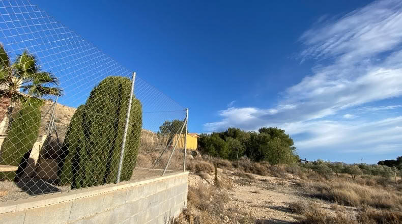 Alicante - Alacant - 2001m2