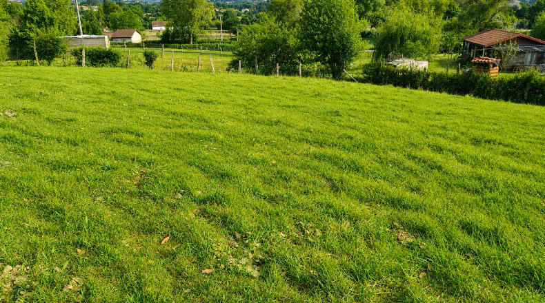 Asturias - Orviz - 1300m2