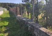 Land suitable for development for sale on Santián, Maside, ref: TR407749 photo