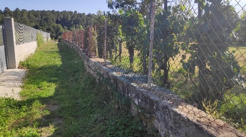 Orense - Maside - 1263m2