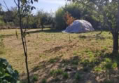 Land suitable for development for sale on Santián, Maside, ref: TR407749 photo