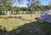 Land suitable for development for sale on Santián, Maside, ref: TR407749 photo
