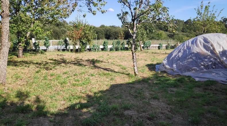 Orense - Maside - 1263m2